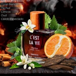 Perfume C´est La Vie The Lab Perfumes Parfum – 100ml – Unisex