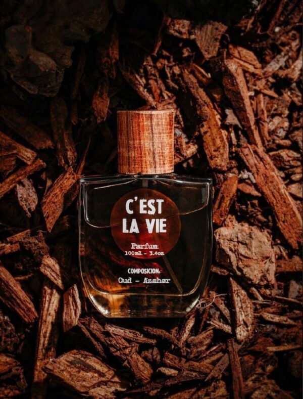 Perfume C´est La Vie The Lab Perfumes Parfum – 100ml – Unisex