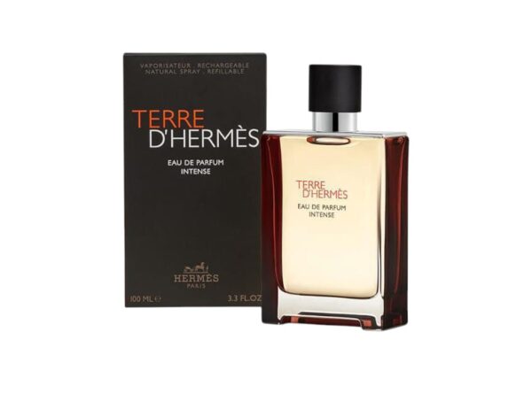 Perfume Terre D´Hermes Eau De Parfum Intense 100ml Hombre